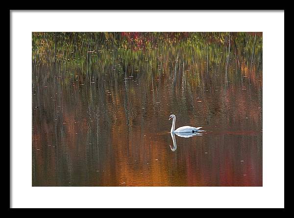 By The Pond