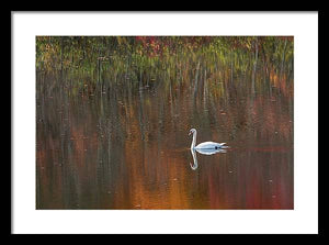 By The Pond