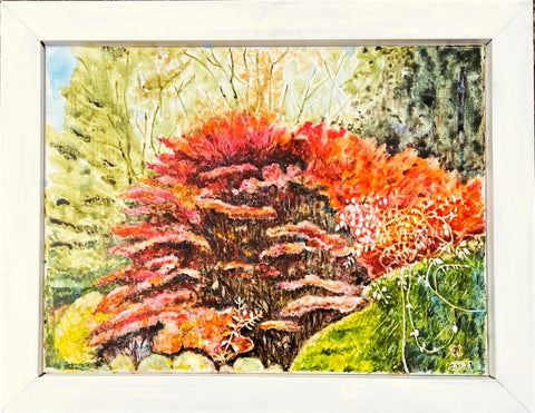 Burning bush