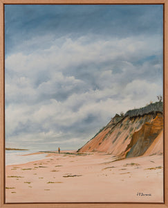 Cape Cod Sand Dunes