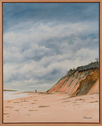 Cape Cod Sand Dunes