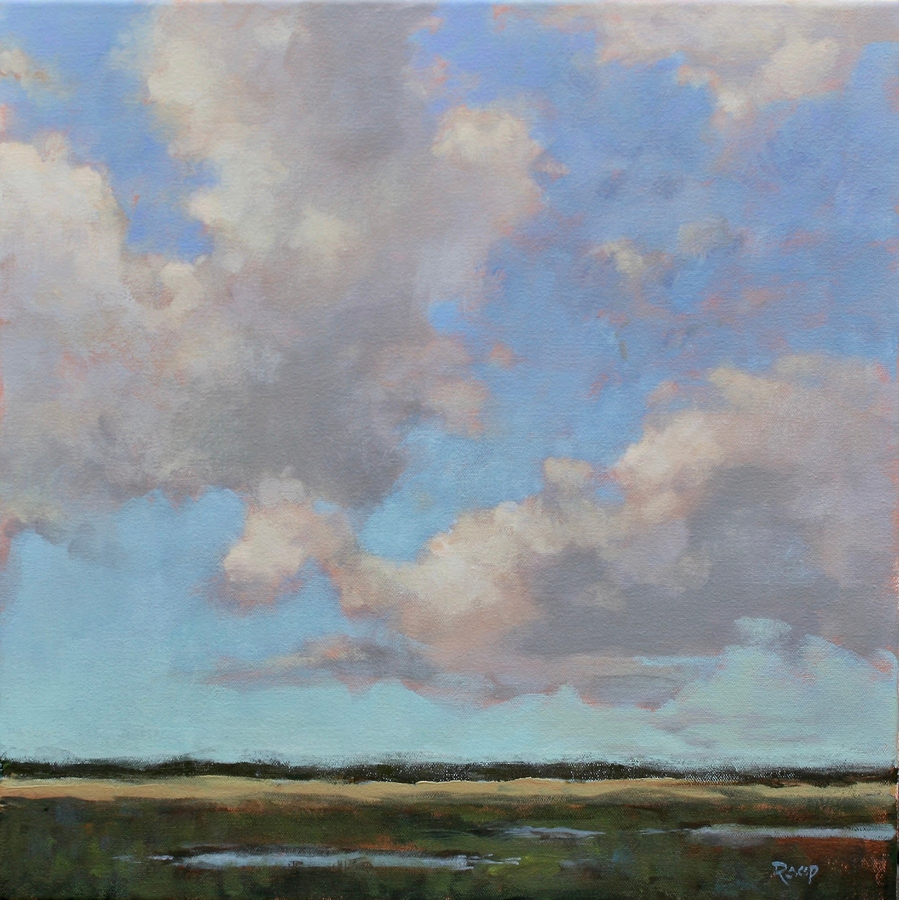 Marsh Morning