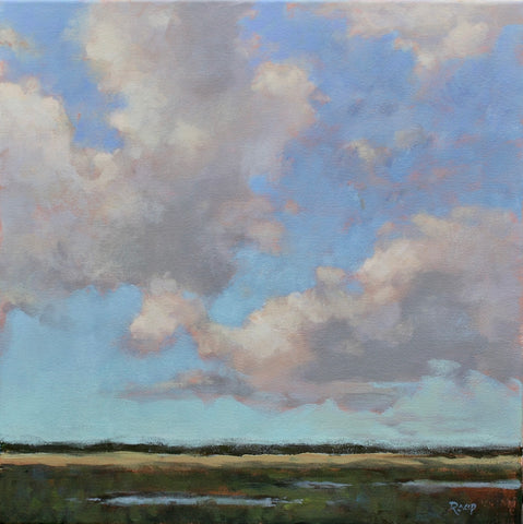 Marsh Morning
