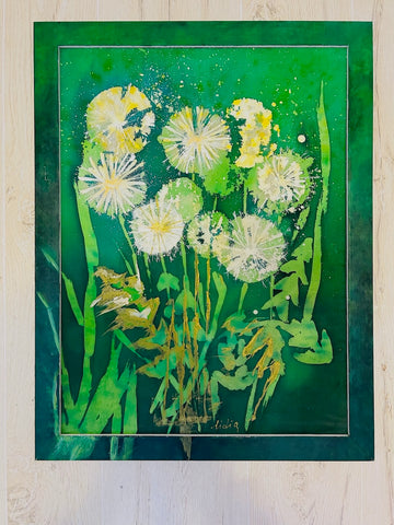 Dandelions