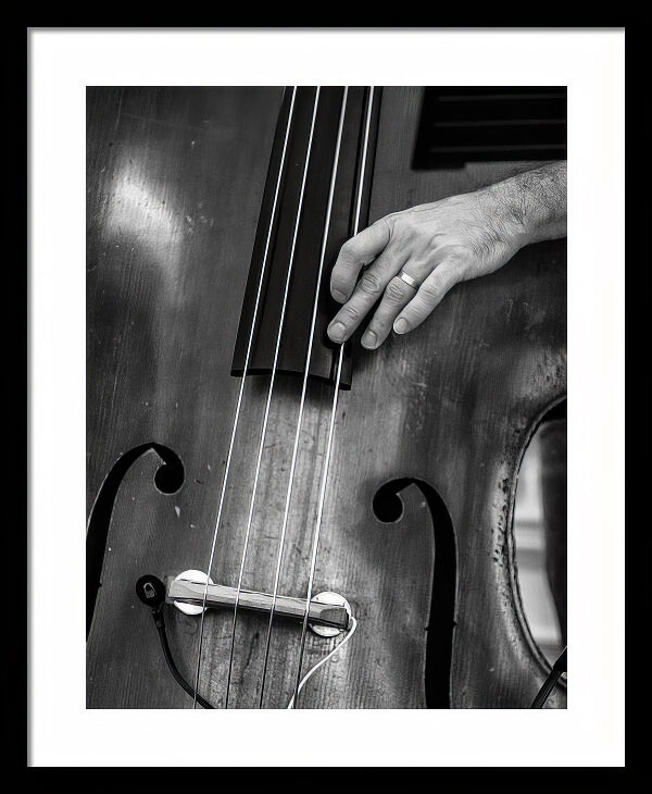 Double Bass Player