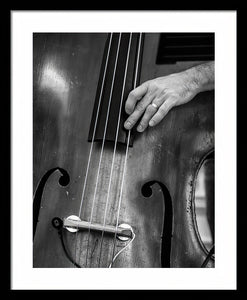 Double Bass Player