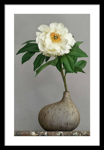 Flower in a Vase