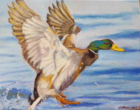 Soft Landing