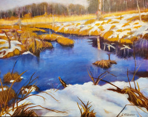 Beaver Pond in Winter