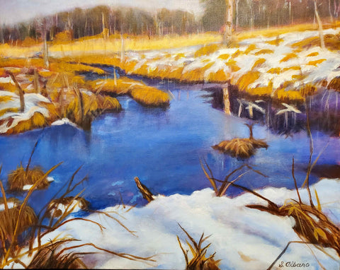 Beaver Pond in Winter