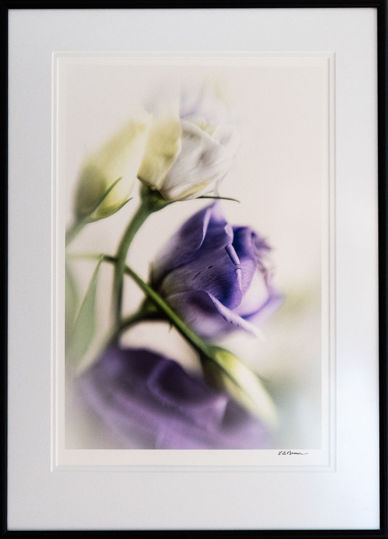 Delicate Touch