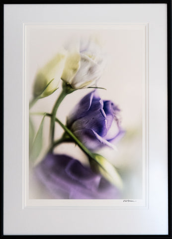 Delicate Touch