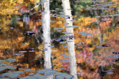 October Painterly Reflection
