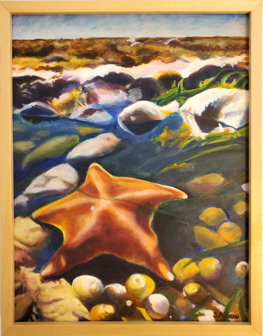 Tidepool