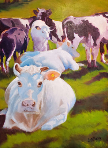 Waterloo Cows