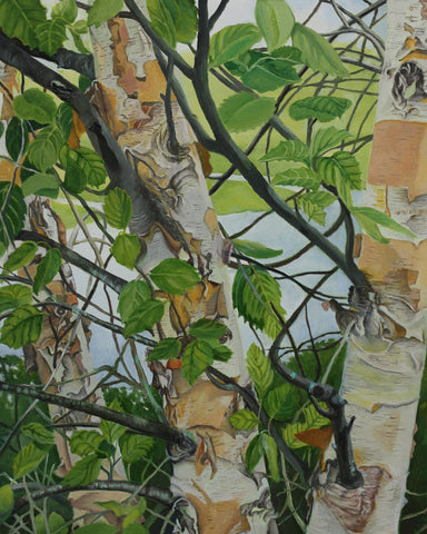 River Birch