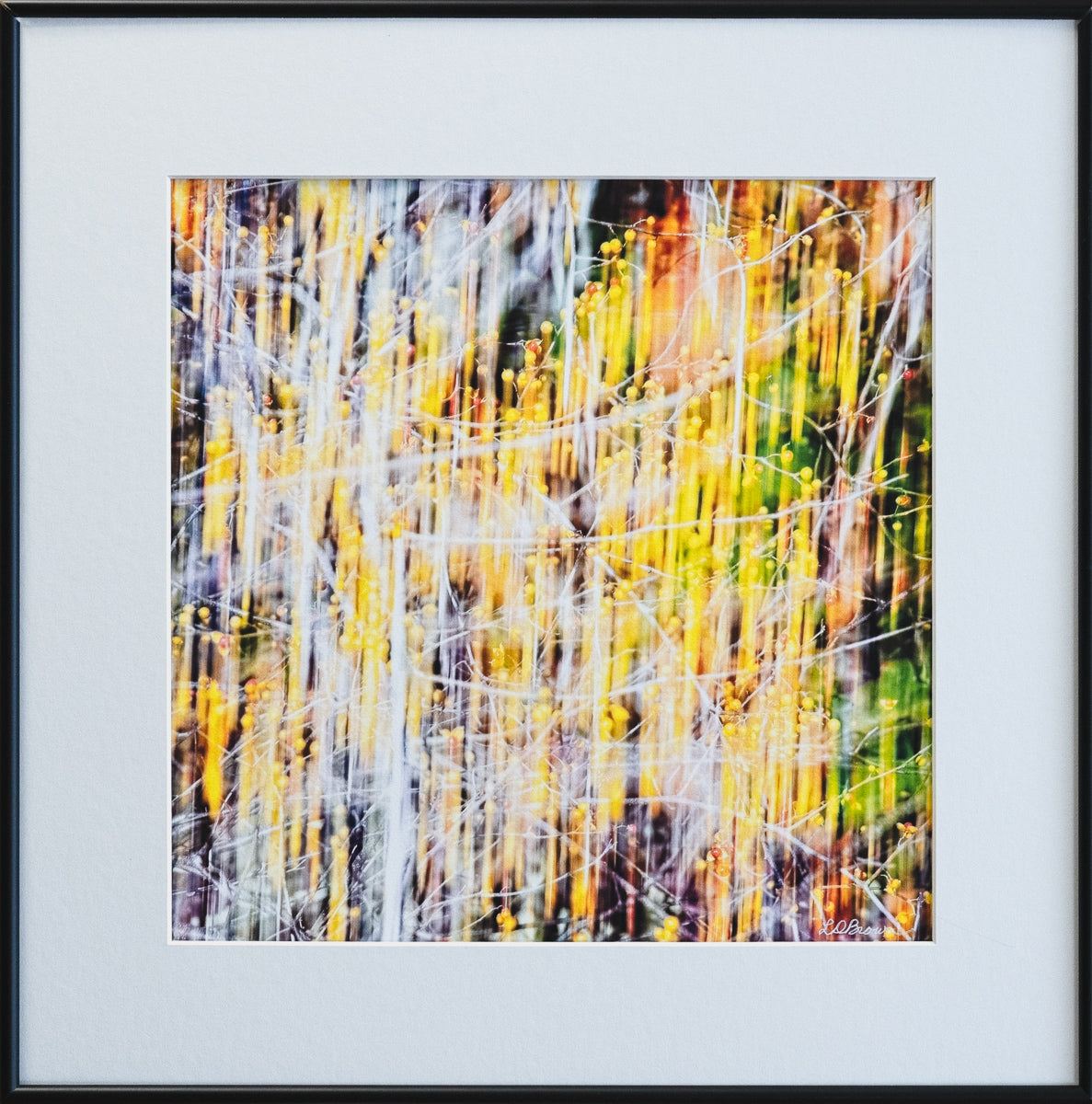 The Resistance - Artifact: George T. Dickey Portrait – Arts Wayland